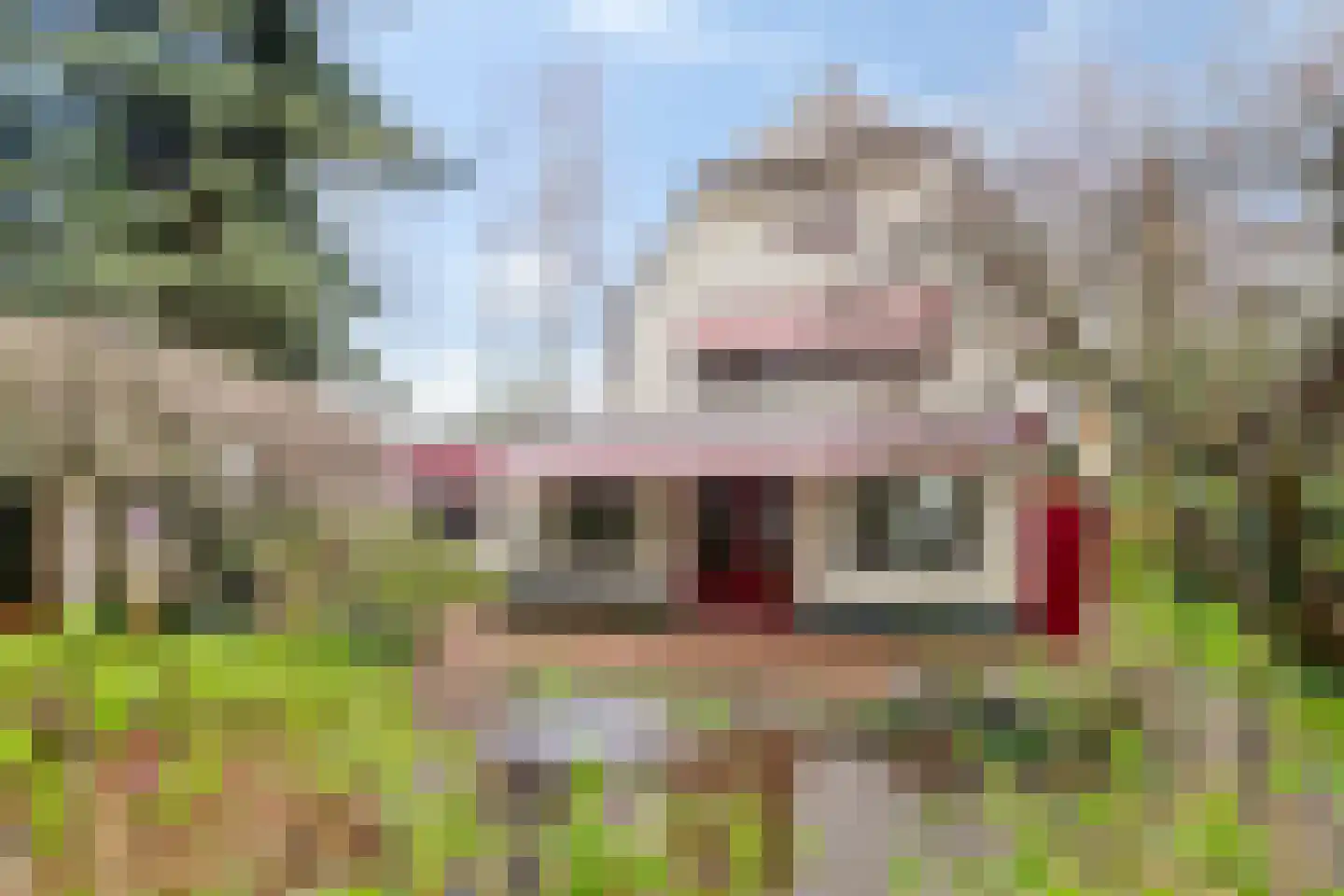 Stadhouderslaan 59 Soest thumbnail 45