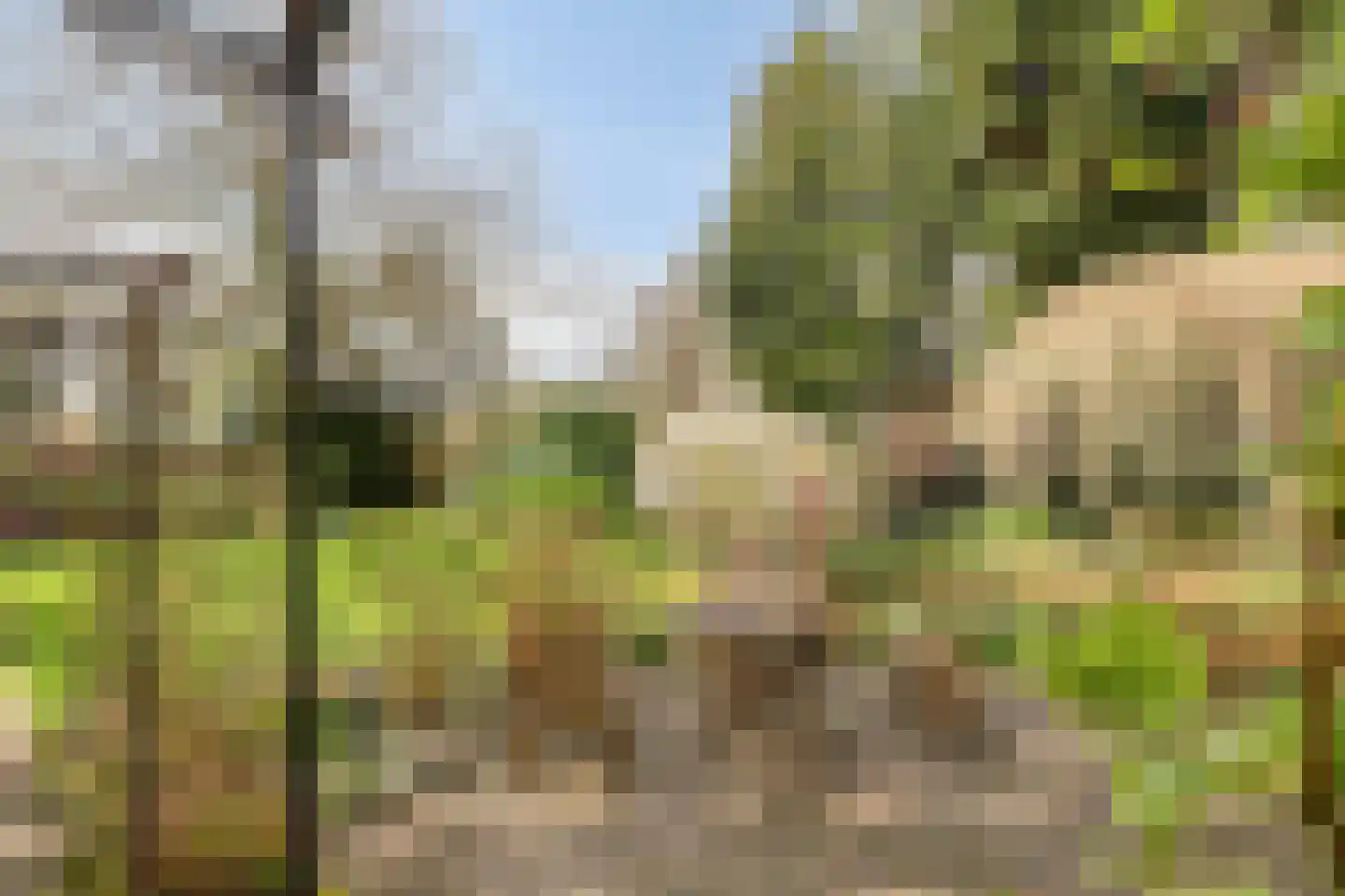 Stadhouderslaan 59 Soest thumbnail 46