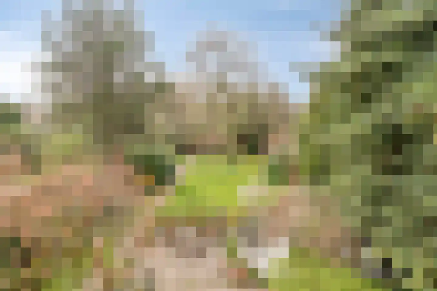 Stadhouderslaan 59 Soest thumbnail 49