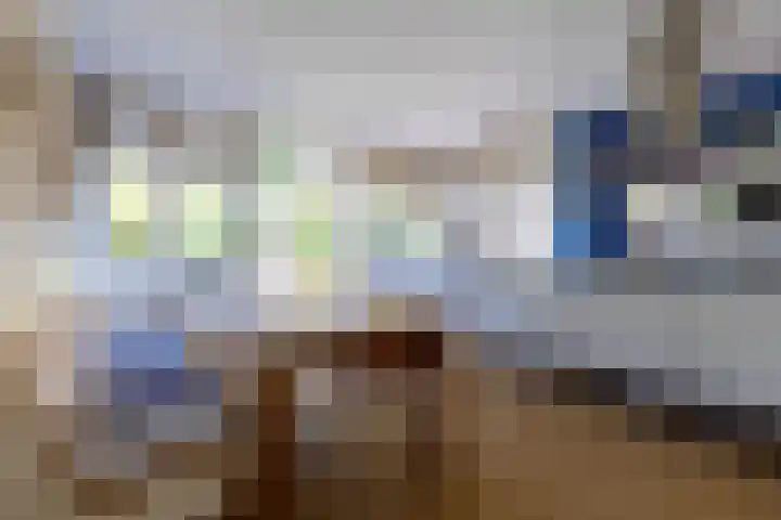 Stadhouderslaan 6 Bussum thumbnail 20