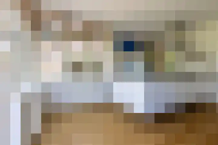 Stadhouderslaan 6 Bussum thumbnail 23