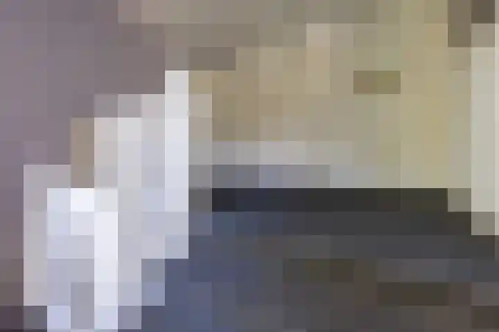 Stadhouderslaan 6 Bussum thumbnail 27