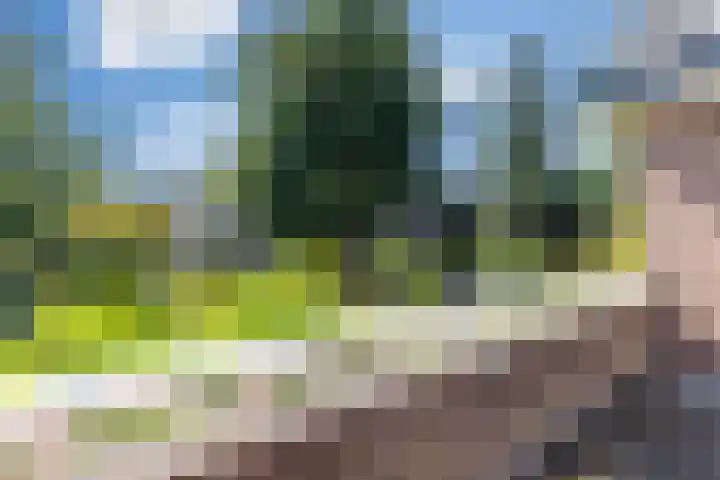 Stadhouderslaan 6 Bussum thumbnail 30