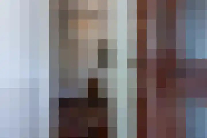 Stadhouderslaan 6 Bussum thumbnail 4