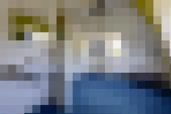 Stadhouderslaan 6 Bussum thumbnail 43