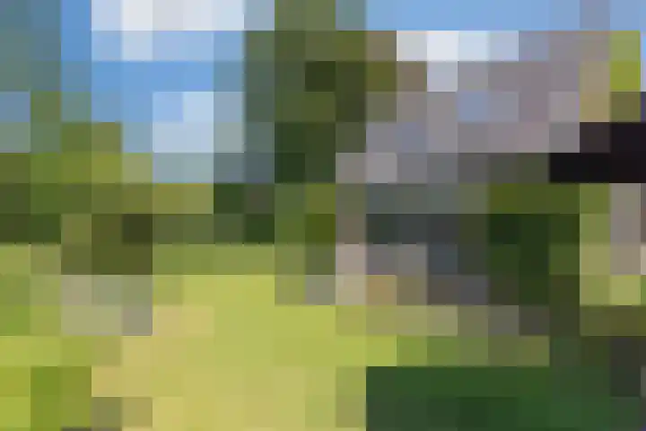 Stadhouderslaan 6 Bussum thumbnail 50