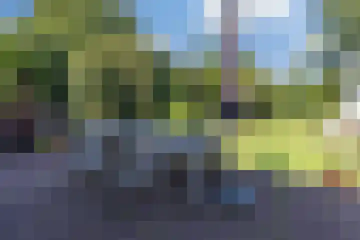 Stadhouderslaan 6 Bussum thumbnail 55