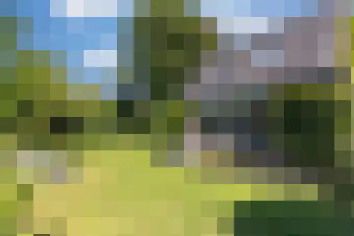 Stadhouderslaan 6 Bussum thumbnail 56