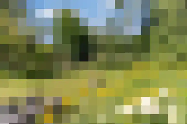 Stadhouderslaan 6 Bussum thumbnail 57