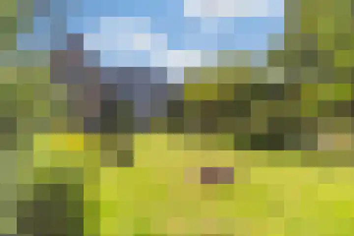 Stadhouderslaan 6 Bussum thumbnail 58