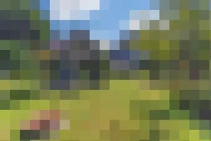Stadhouderslaan 6 Bussum thumbnail 59
