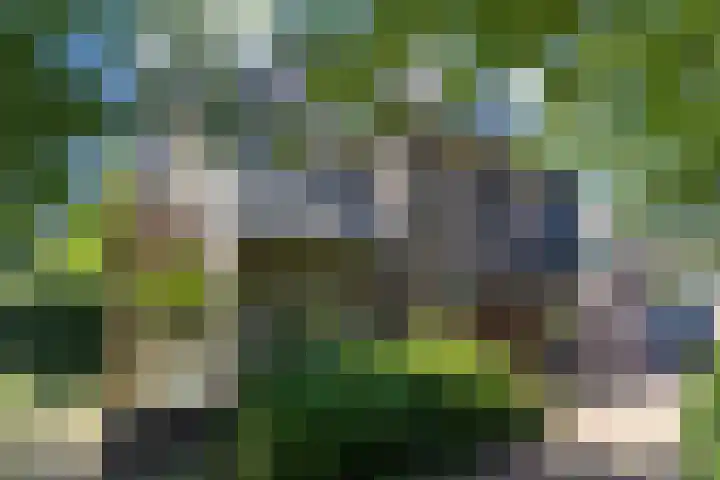 Stadhouderslaan 6 Bussum thumbnail 63