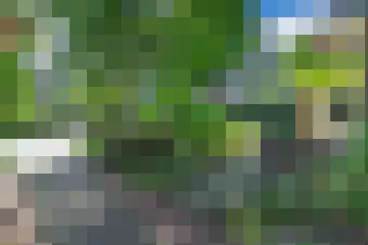 Stadhouderslaan 6 Bussum thumbnail 64