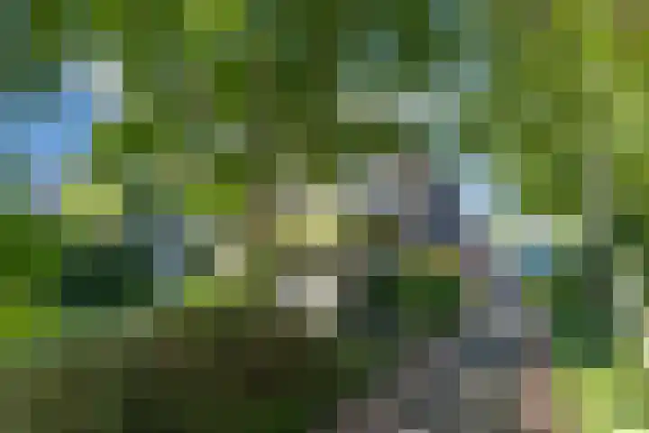 Stadhouderslaan 6 Bussum thumbnail 65