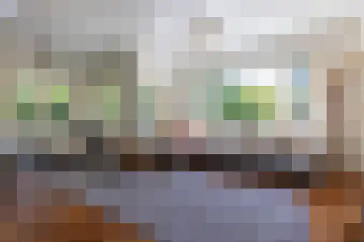 Stadhouderslaan 6 Bussum thumbnail 9