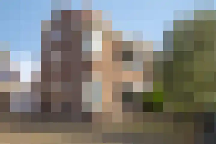 Stadhouderslaan 64 Schiedam thumbnail 31