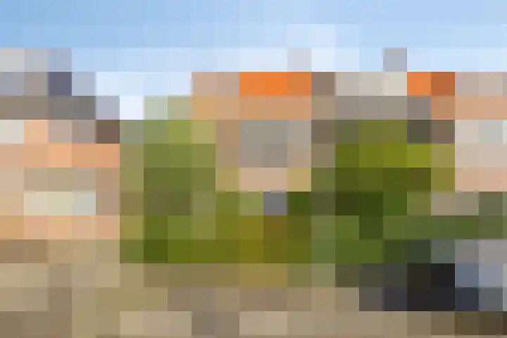Stadhouderslaan 64 Schiedam thumbnail 32
