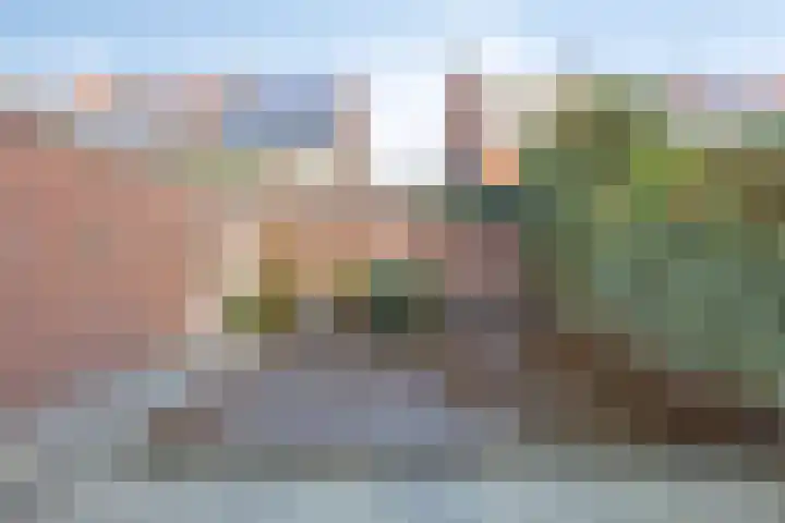 Stadhouderslaan 64 Schiedam thumbnail 38