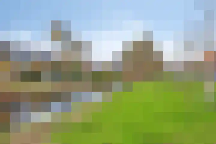 Stadhouderslaan 64 Schiedam thumbnail 42