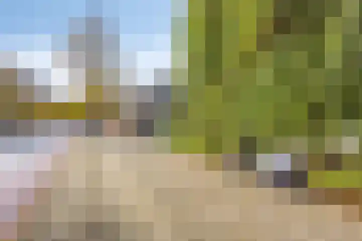 Stadhouderslaan 64 Schiedam thumbnail 44