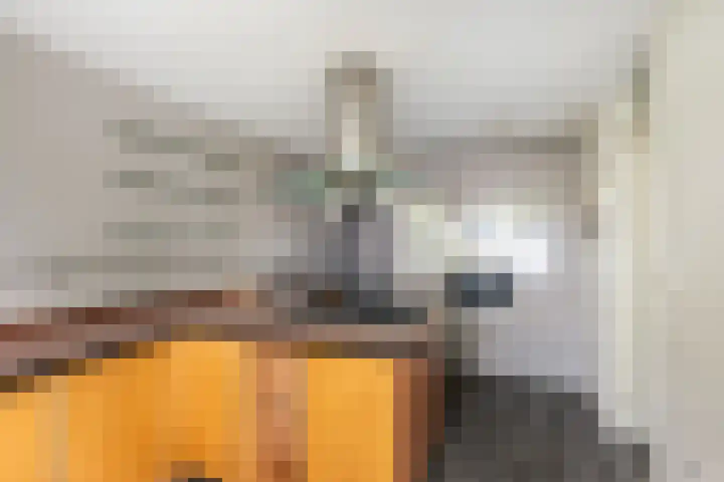 Stadhouderslaan 7 A Schiedam thumbnail 11
