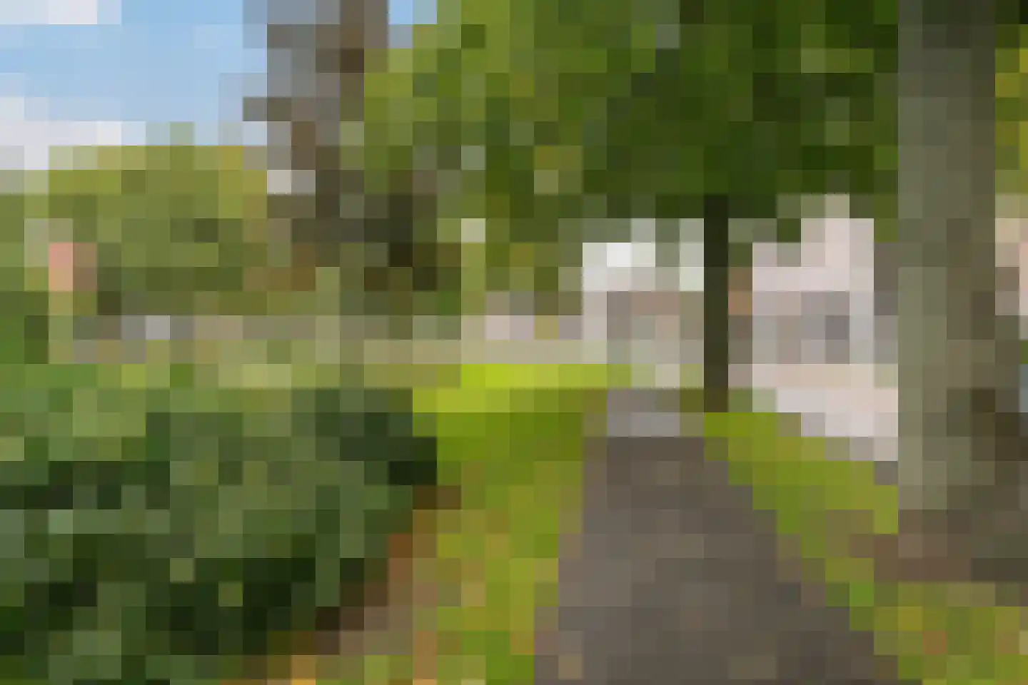 Stadhouderslaan 7 A Schiedam thumbnail 40
