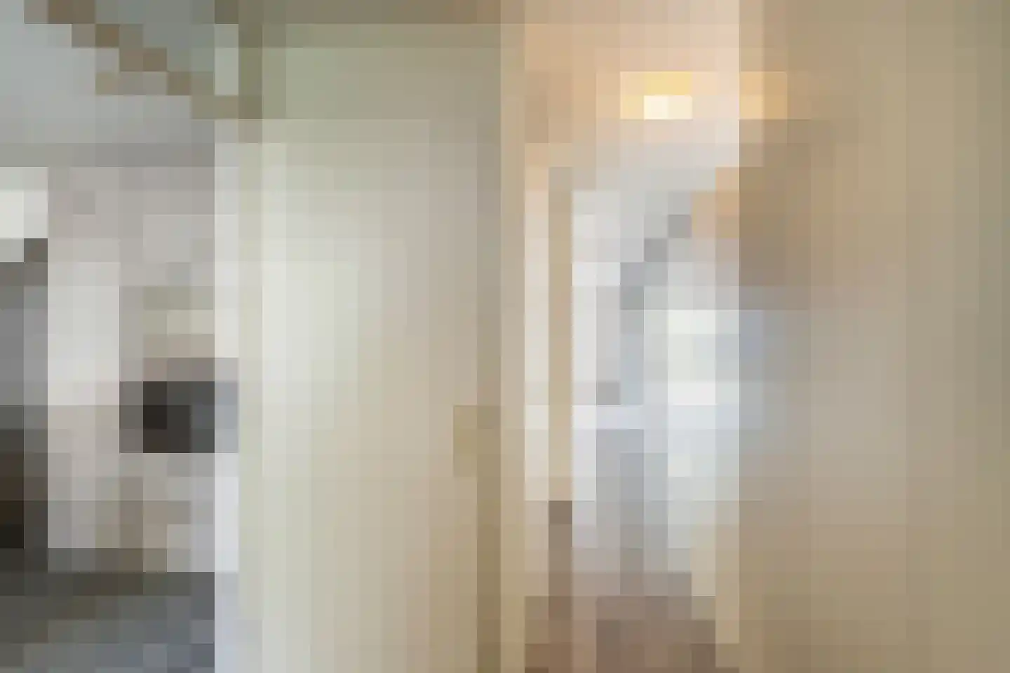Stadhouderslaan 7 A Schiedam thumbnail 8
