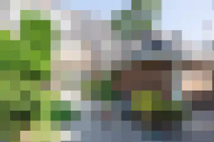 Stadhouderslaan 7 Bussum thumbnail 35