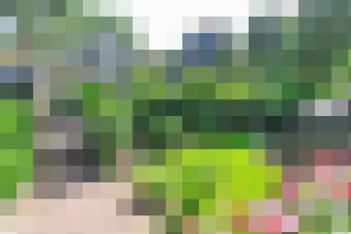 Stadhouderslaan 7 Bussum thumbnail 36