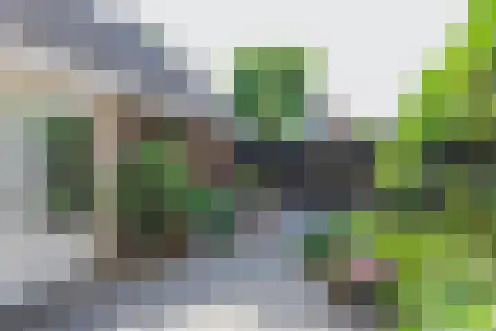 Stadhouderslaan 7 Bussum thumbnail 37