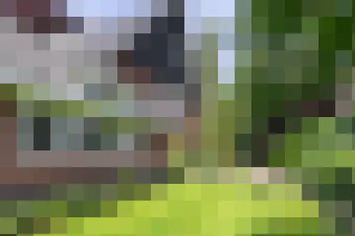 Stadhouderslaan 7 Bussum thumbnail 41