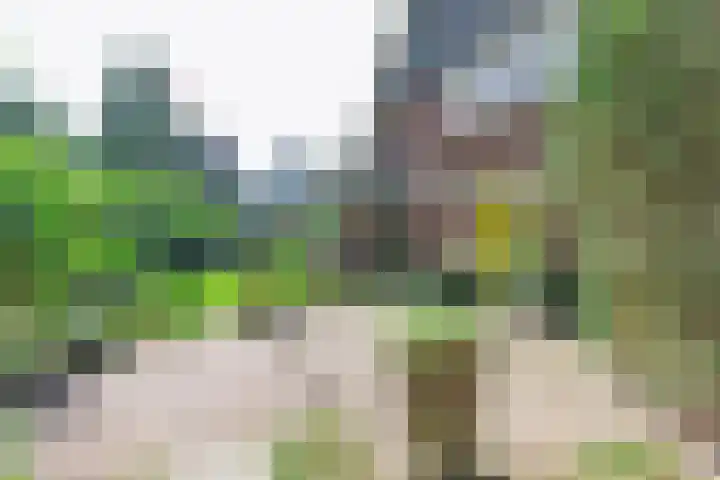 Stadhouderslaan 7 Bussum thumbnail 42