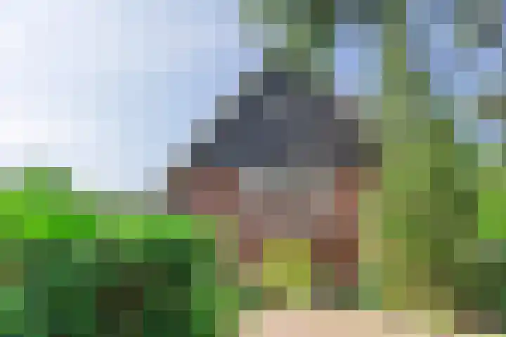 Stadhouderslaan 7 Bussum thumbnail 43