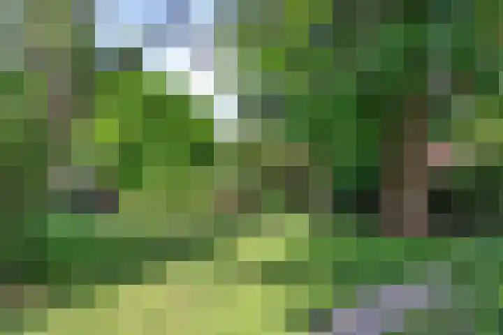 Stadhouderslaan 7 Bussum thumbnail 45