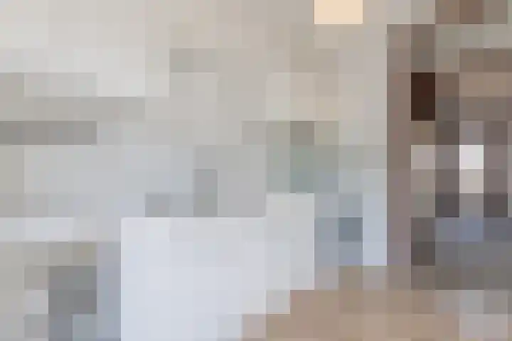 Stadhouderslaan 72 Montfoort thumbnail 8