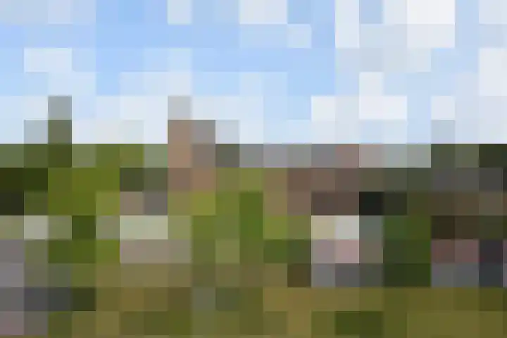 Stadhouderslaan 76 Den Haag thumbnail 11