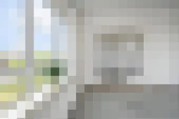 Stadhouderslaan 76 Den Haag thumbnail 13
