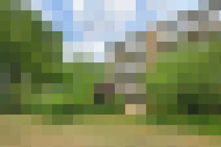 Stadhouderslaan 76 Den Haag thumbnail 40