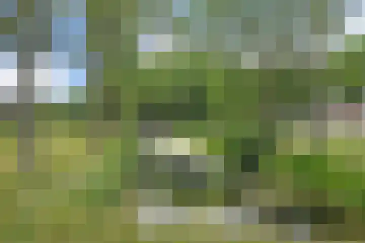 Stadhouderslaan 76 Den Haag thumbnail 41