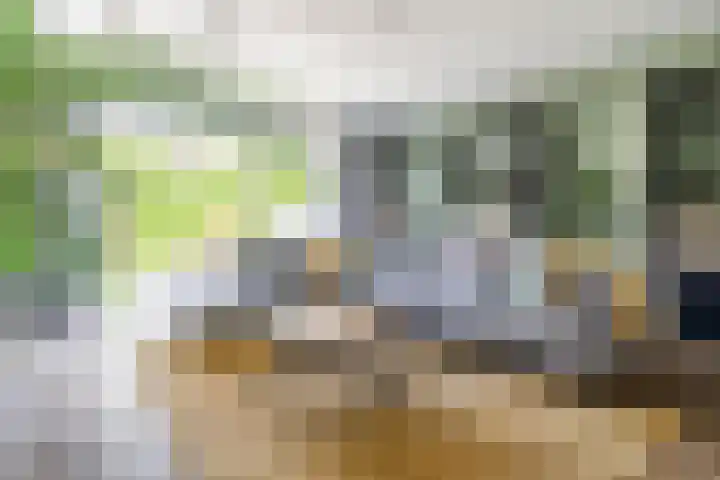Stadhouderslaan 76 Zoeterwoude thumbnail 11