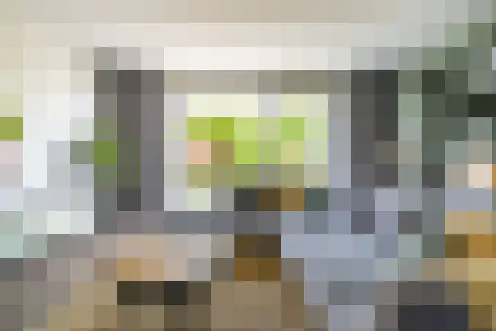 Stadhouderslaan 76 Zoeterwoude thumbnail 12