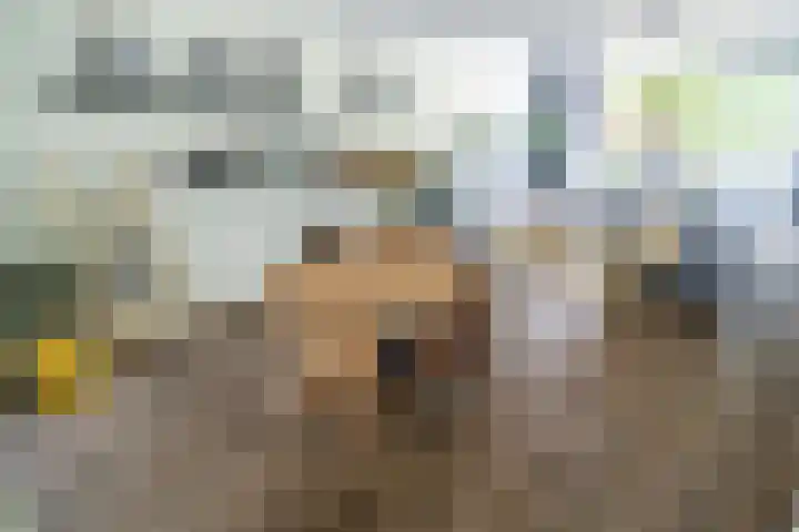 Stadhouderslaan 76 Zoeterwoude thumbnail 4