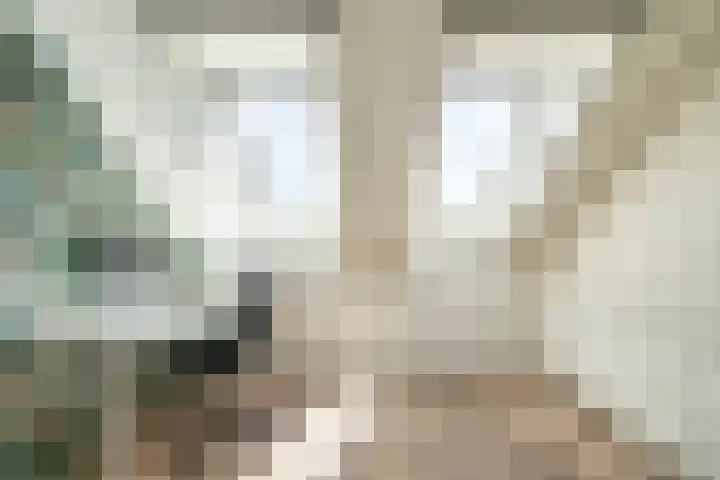 Stadhouderslaan 76 Zoeterwoude thumbnail 43