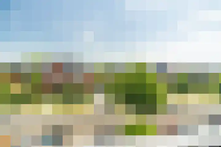 Stadhouderslaan 76 Zoeterwoude thumbnail 44