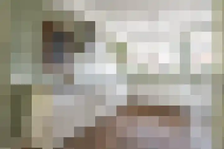 Stadhouderslaan 76 Zoeterwoude thumbnail 5