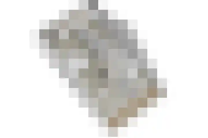 Stadhouderslaan 76 Zoeterwoude thumbnail 51