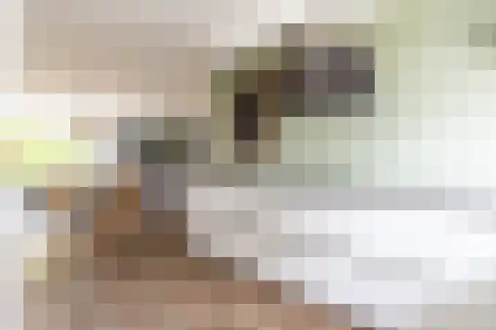 Stadhouderslaan 76 Zoeterwoude thumbnail 8