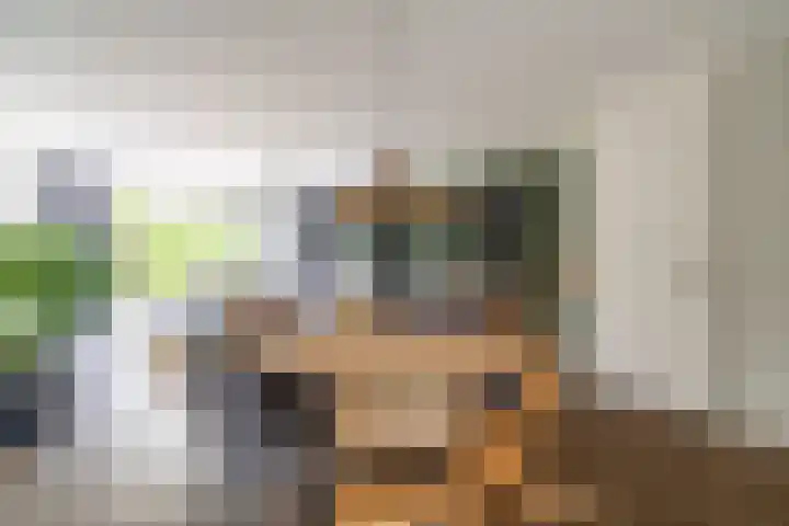 Stadhouderslaan 76 Zoeterwoude thumbnail 9