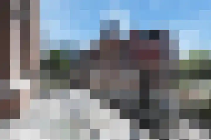 Stadhouderslaan 78 E Den Haag thumbnail 12