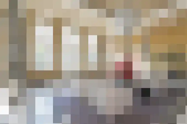 Stadhouderslaan 78 E Den Haag thumbnail 6